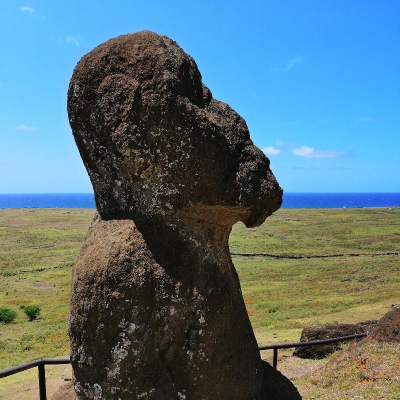 Île de Pâques : carrière Rano Raraku ; premier Moai avec une barbe